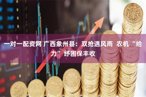 一对一配资网 广西象州县：双抢遇风雨  农机 “给力” 纾困保丰收