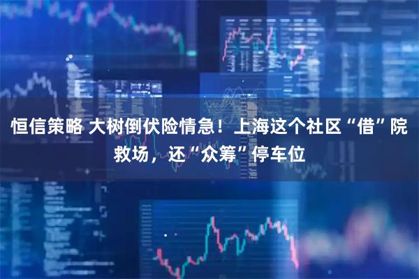 恒信策略 大树倒伏险情急！上海这个社区“借”院救场，还“众筹”停车位