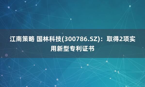 江南策略 国林科技(300786.SZ)：取得2项实用新型专利证书