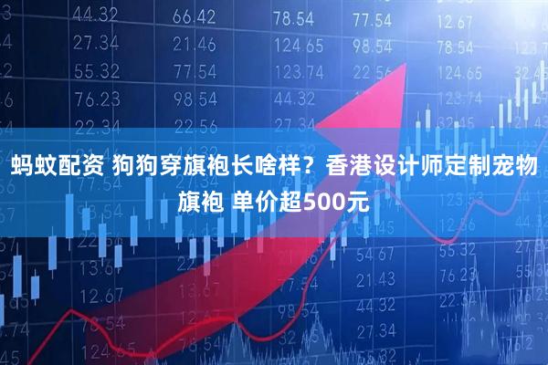 蚂蚊配资 狗狗穿旗袍长啥样?香港设计师定制宠物旗袍 单价超500元