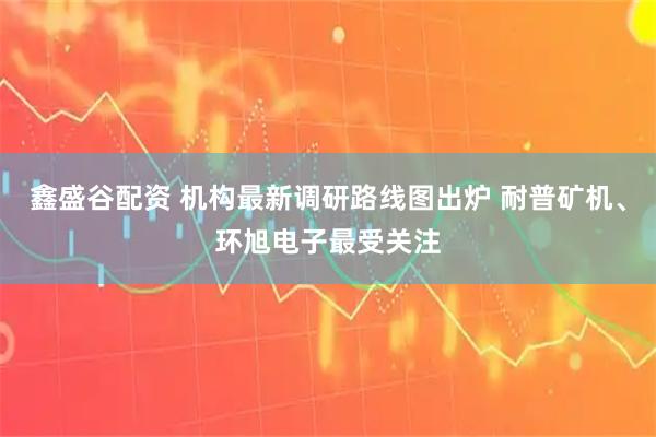 鑫盛谷配资 机构最新调研路线图出炉 耐普矿机、环旭电子最受关注