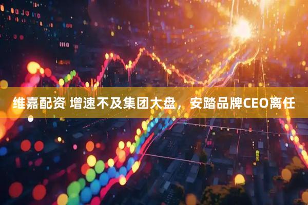 维嘉配资 增速不及集团大盘，安踏品牌CEO离任